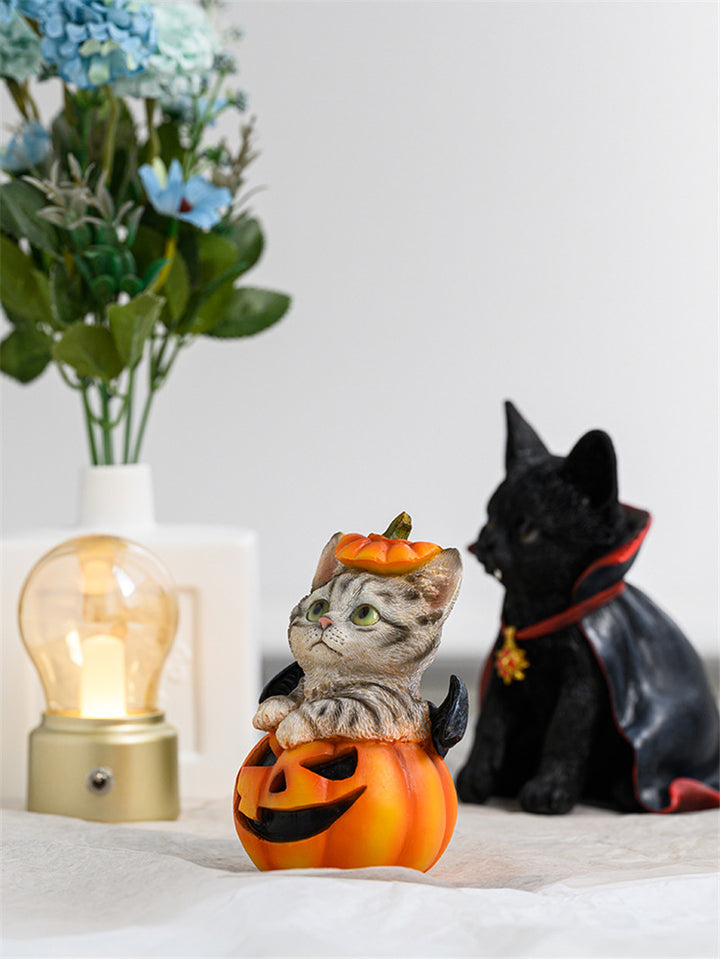 Cute Cat Graduation Blessing Gift
